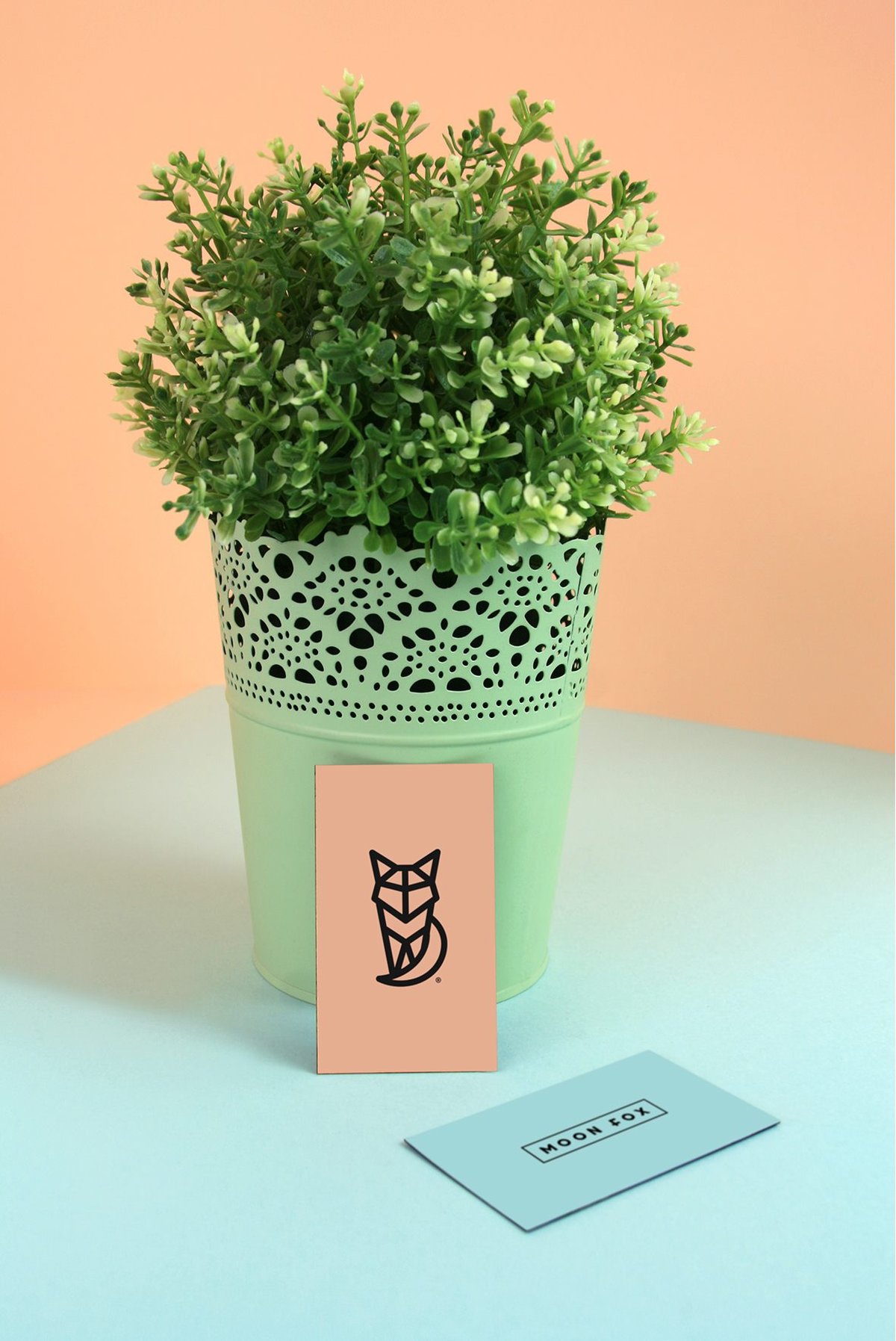 服裝品牌形象設計