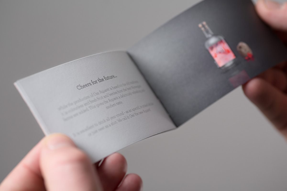 OSS 企業(yè)品牌設計 包裝設計展示