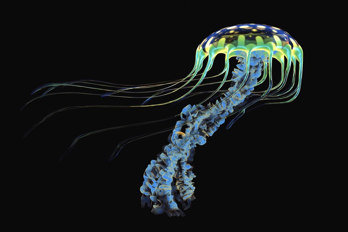 Globetouch 企業(yè)品牌設(shè)計