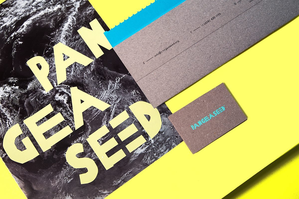 “PangeaSeed”時尚周刊VI設計形象 畫冊設計展示