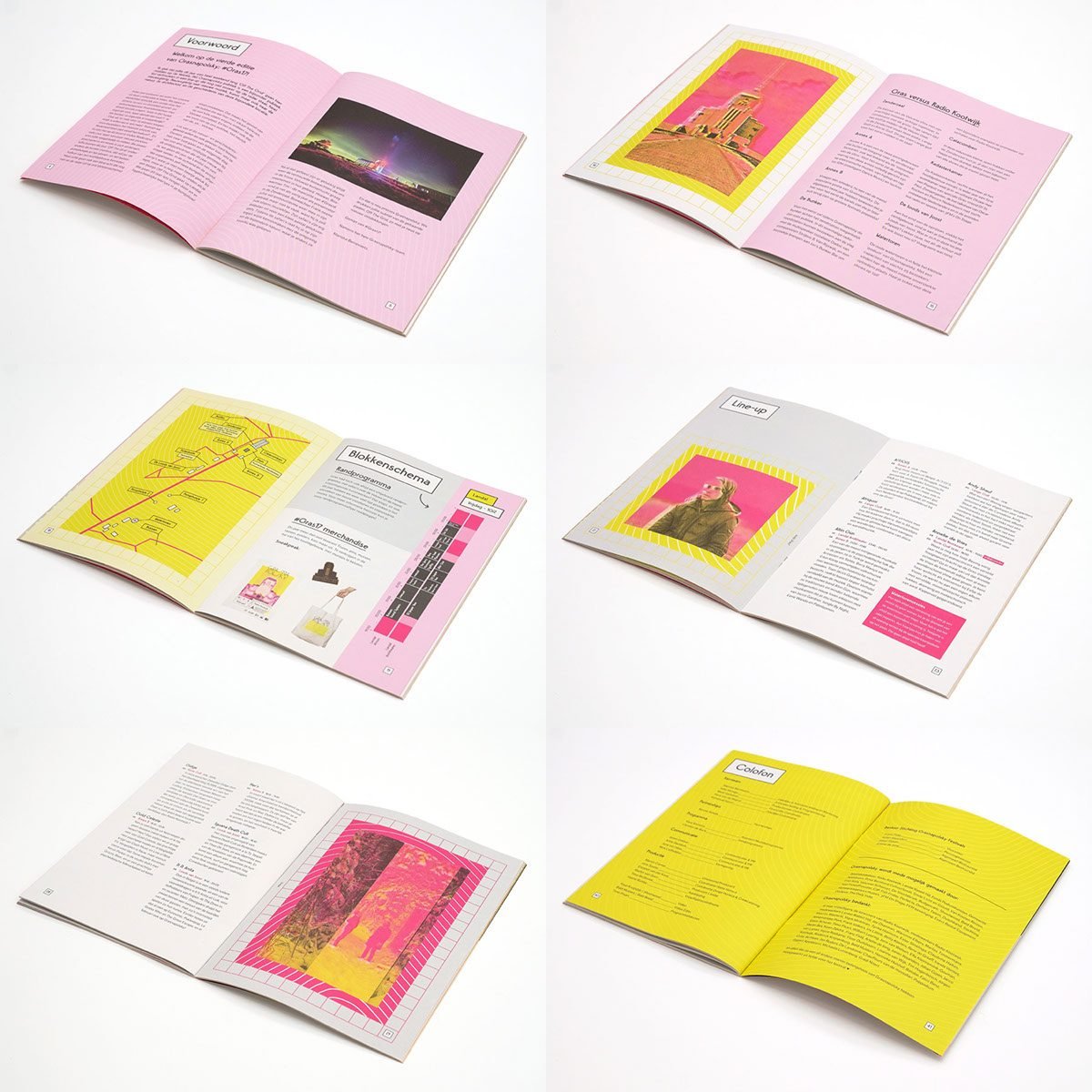 “Grasnapolsky”音樂節(jié)VI設(shè)計形象 書籍設(shè)計