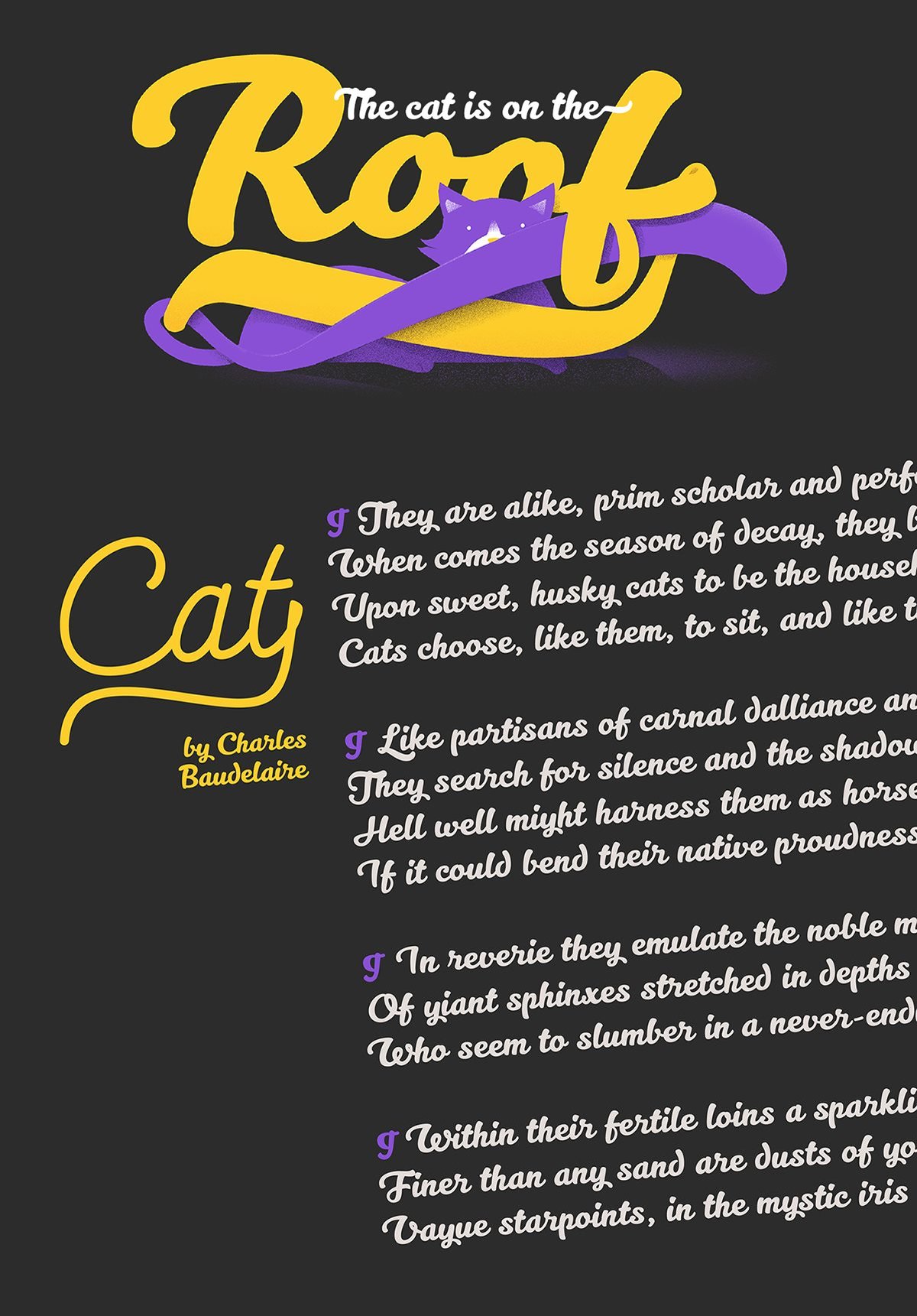 Kittery寵物連鎖店Vi設計 字體設計