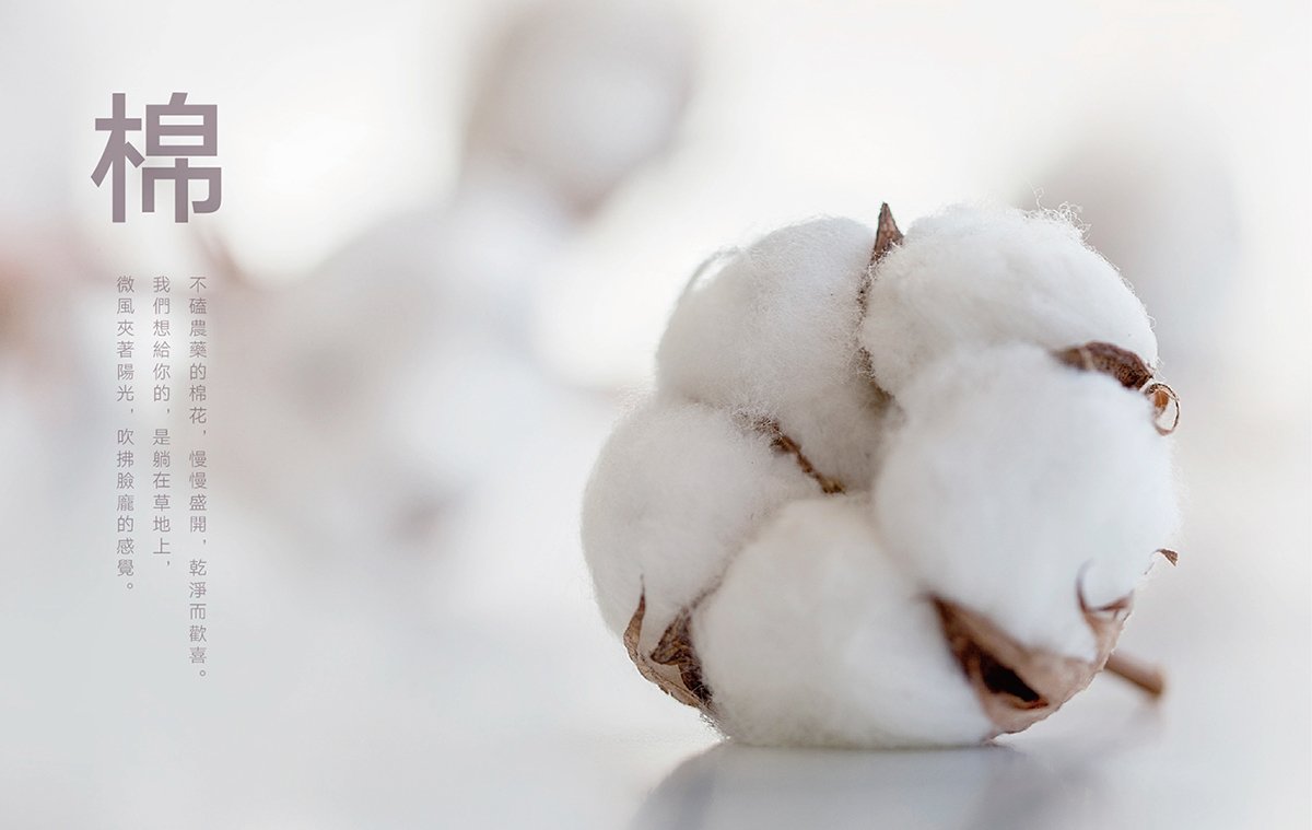 布知道婦女化妝品VI設計形象展示