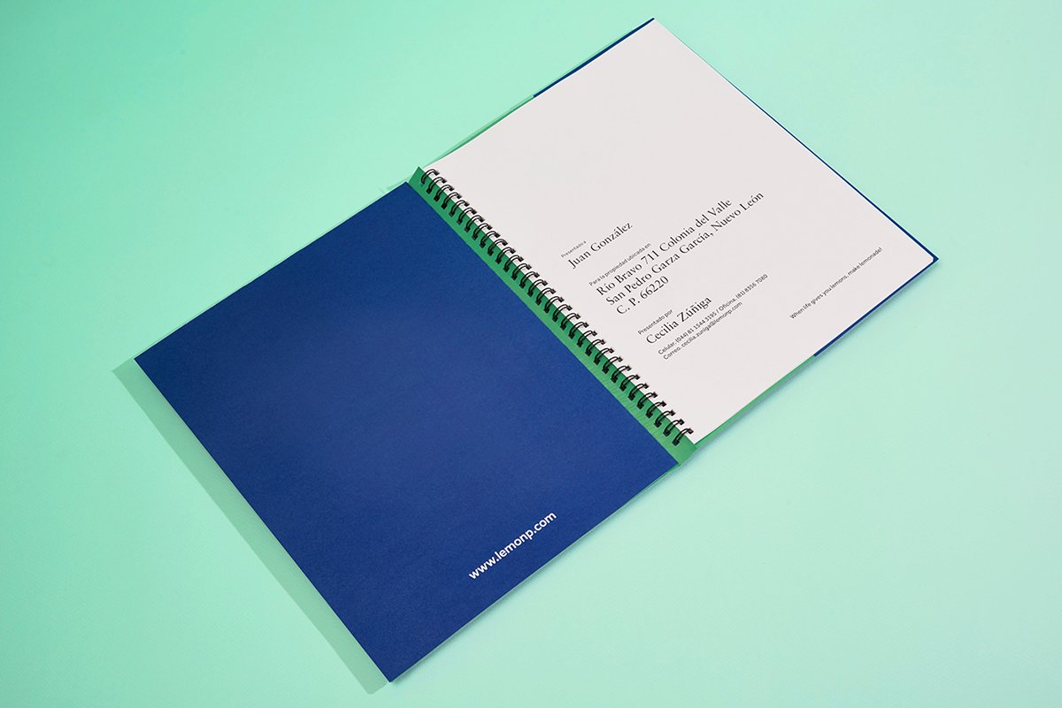 深圳VI設(shè)計(jì)  深圳VI策劃  檸檬房地產(chǎn)VI形象設(shè)計(jì)  單頁(yè)設(shè)計(jì)