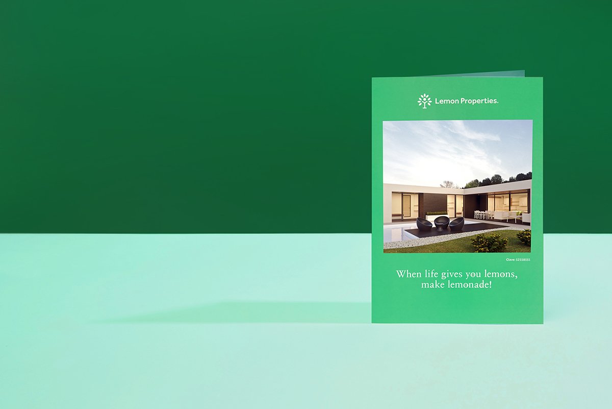 深圳VI設(shè)計(jì)  深圳VI策劃  檸檬房地產(chǎn)VI形象設(shè)計(jì)  畫冊(cè)設(shè)計(jì)