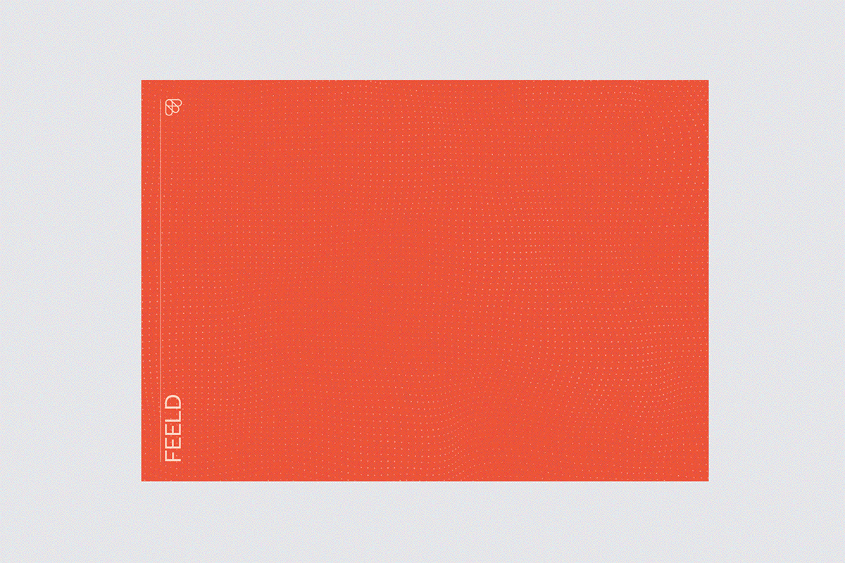 深圳VI設計  深圳VI策劃  Feeld網絡平臺VI設計  動態展示