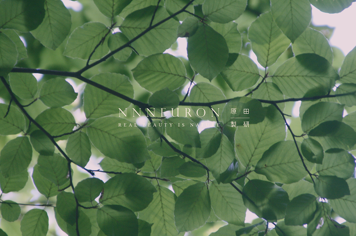 深圳VI設(shè)計 深圳VI策劃 NNNEURON原田制研保養(yǎng)品VI形象 標(biāo)志設(shè)計