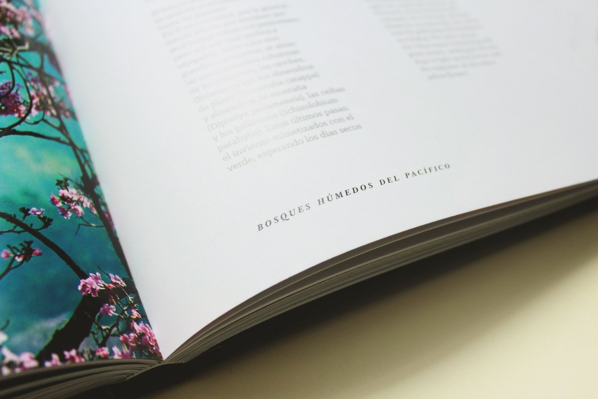 深圳VI設(shè)計(jì) 深圳VI策劃 魔法森林自然畫(huà)冊(cè)設(shè)計(jì) 畫(huà)冊(cè)設(shè)計(jì)