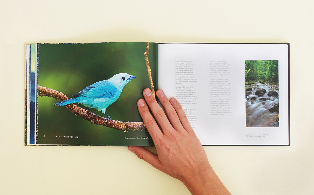 深圳VI設(shè)計(jì) 深圳VI策劃 魔法森林自然畫(huà)冊(cè)設(shè)計(jì) 畫(huà)冊(cè)設(shè)計(jì)