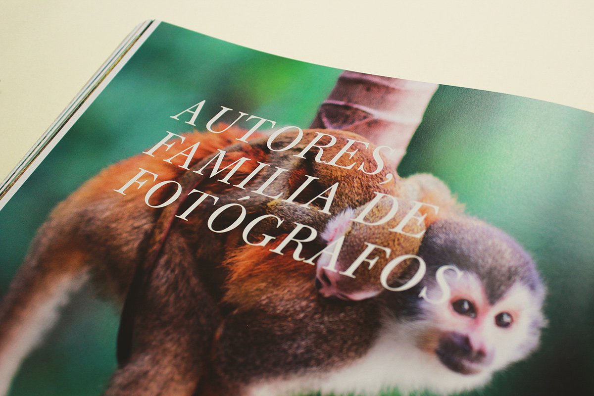 深圳VI設(shè)計(jì) 深圳VI策劃 魔法森林自然畫(huà)冊(cè)設(shè)計(jì) 畫(huà)冊(cè)設(shè)計(jì)