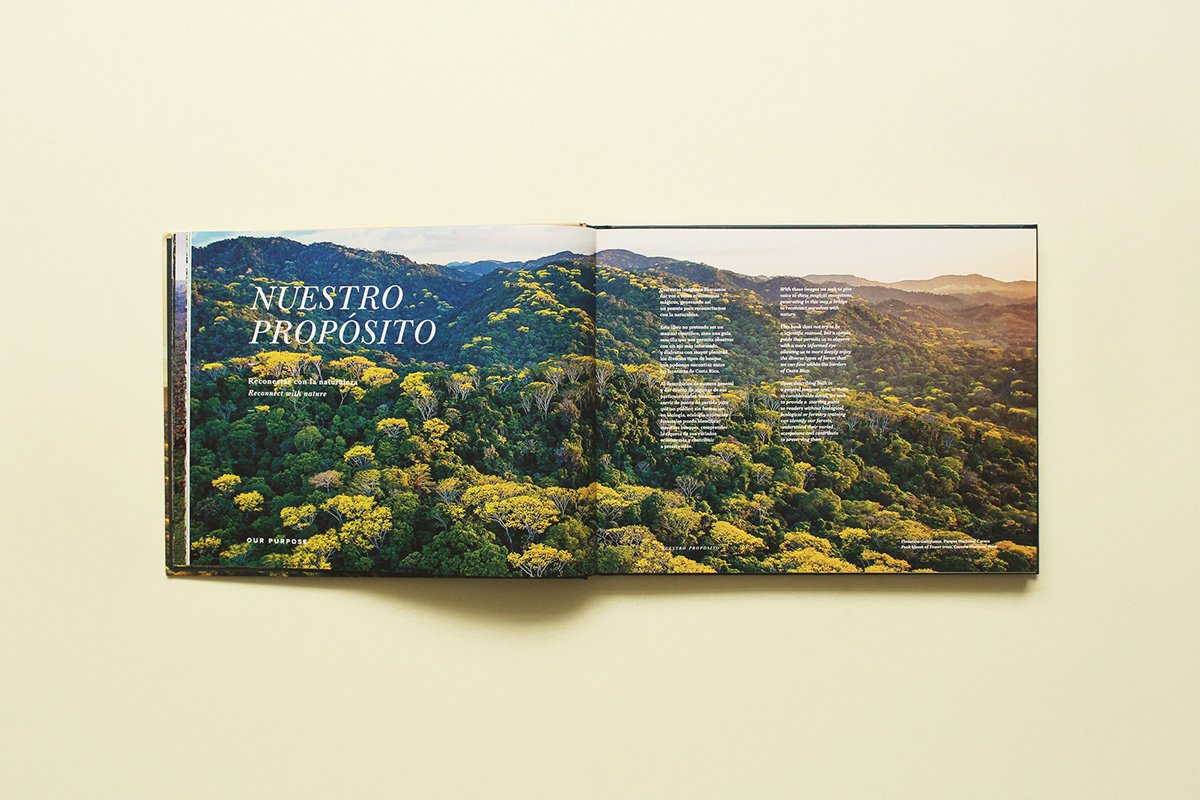 深圳VI設(shè)計(jì) 深圳VI策劃 魔法森林自然畫(huà)冊(cè)設(shè)計(jì) 畫(huà)冊(cè)設(shè)計(jì)