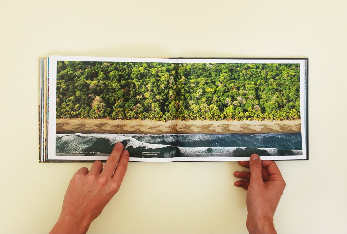 深圳VI設(shè)計(jì) 深圳VI策劃 魔法森林自然畫(huà)冊(cè)設(shè)計(jì) 畫(huà)冊(cè)設(shè)計(jì)