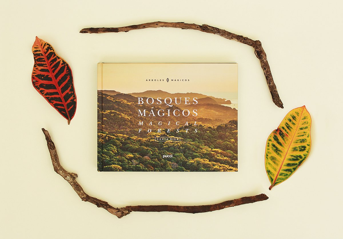 深圳VI設(shè)計(jì) 深圳VI策劃 魔法森林自然畫(huà)冊(cè)設(shè)計(jì) 畫(huà)冊(cè)設(shè)計(jì)