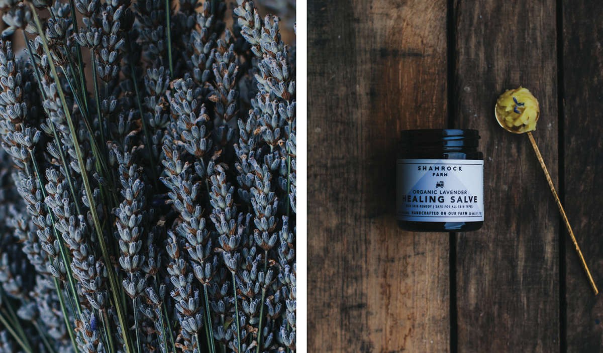 有機肥皂(日用品)品牌vi設計和包裝設計欣賞 有機肥皂(日用品)品牌vi設計和包裝設計欣賞,vi設計,日化vi設計,日用品vi設計,肥皂品牌包裝設計,深圳vi設計,深圳包裝設計,左右格局