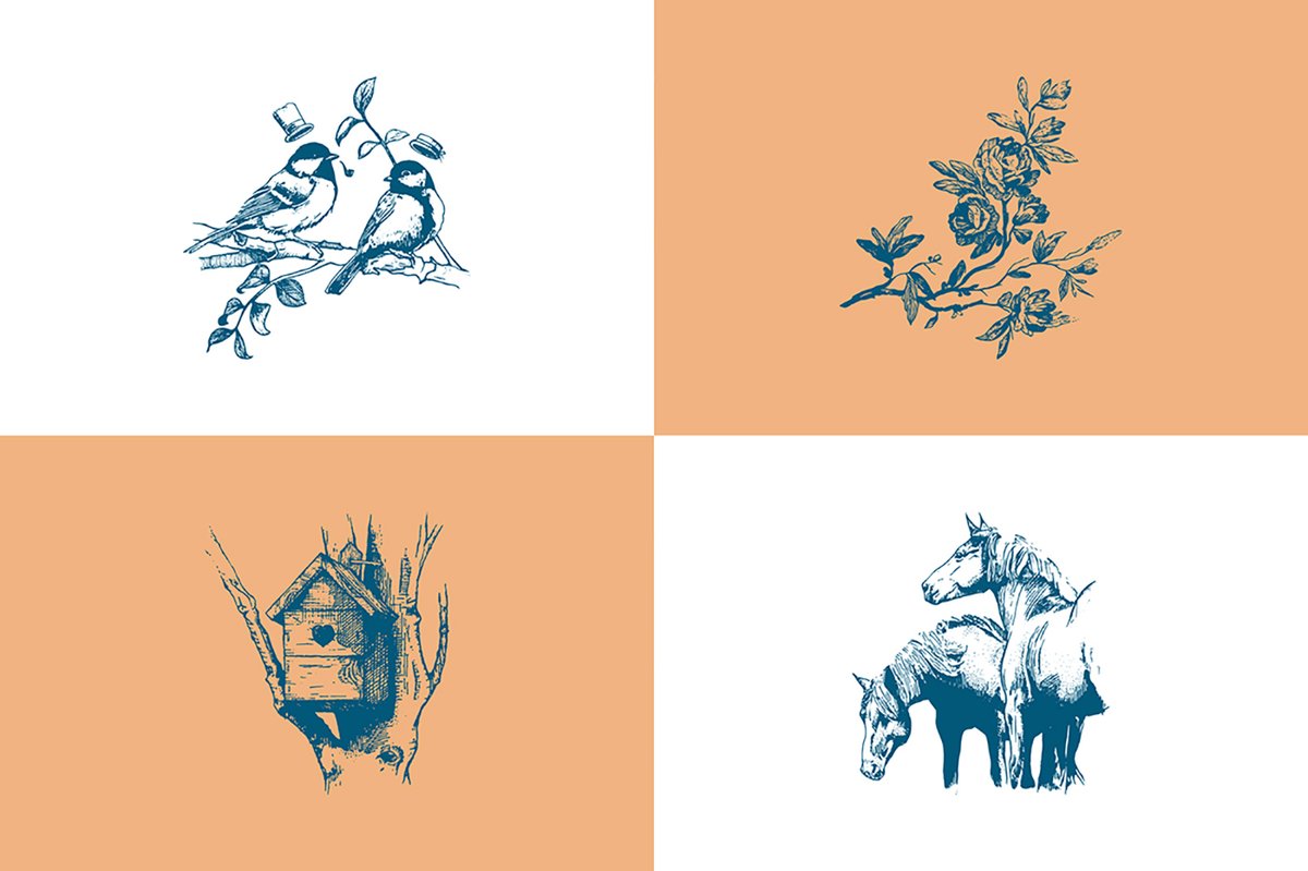 NIDITAS優秀馬術酒店vi品牌設計欣賞 NIDITAS優秀馬術酒店vi品牌設計欣賞,vi設計,品牌vi設計,馬術酒店vi設計,酒店vi設計,酒店品牌vi,深圳vi設計,左右格局