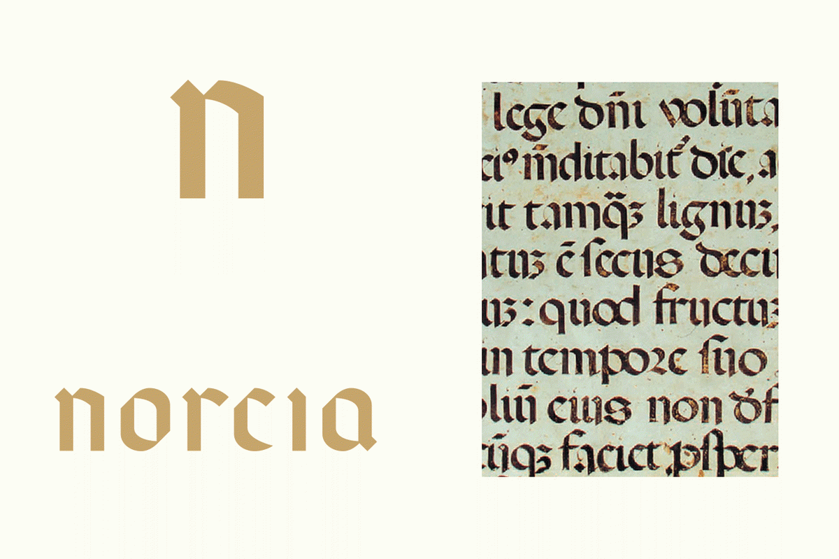 （食品）Norcia 火腿品牌vi設(shè)計(jì)和logo設(shè)計(jì)案例，vi設(shè)計(jì)，食品vi設(shè)計(jì)，食品品牌vi設(shè)計(jì)，品牌logo設(shè)計(jì)，品牌vi設(shè)計(jì)，vi品牌策劃，深圳vi設(shè)計(jì)，左右格局