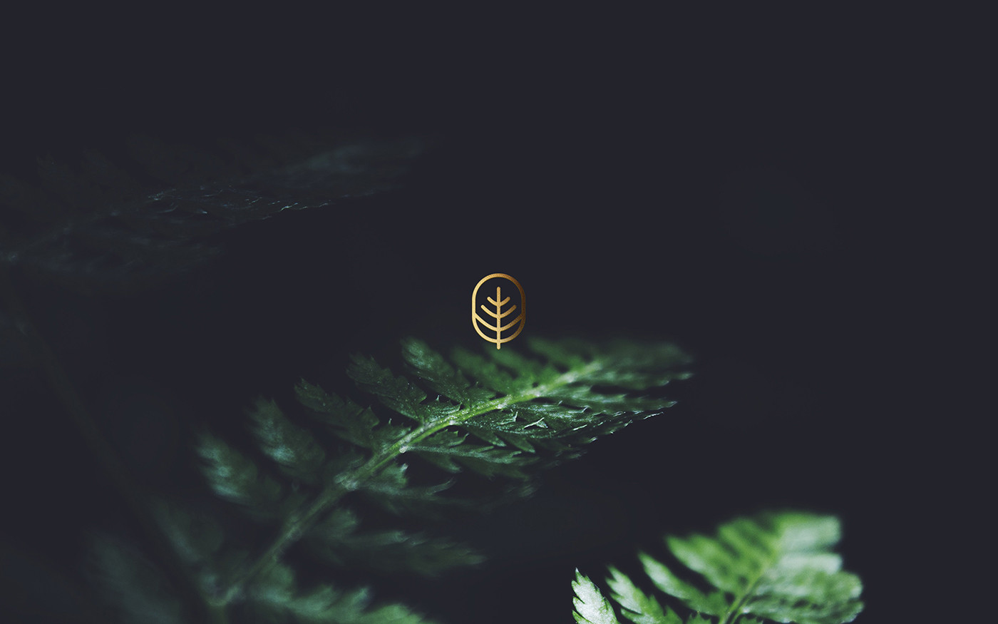 著名國外醫(yī)療機(jī)構(gòu)vi設(shè)計(jì)——企業(yè)logo識(shí)別系統(tǒng)展示 著名國外醫(yī)療機(jī)構(gòu)vi設(shè)計(jì)——企業(yè)logo識(shí)別系統(tǒng)展示,醫(yī)療企業(yè)vi設(shè)計(jì),企業(yè)logo設(shè)計(jì),品牌策劃,深圳vi設(shè)計(jì),左右格局