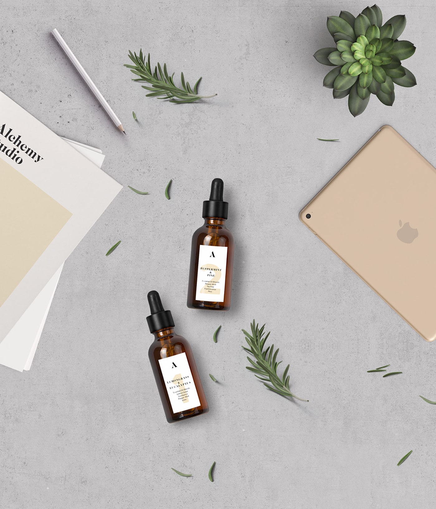 Alchemy美容品牌包裝設計和企業VI設計 Alchemy美容品牌包裝設計和企業VI設計,化妝品VI設計,企業VI設計,企業形象設計,深圳VI設計,左右格局