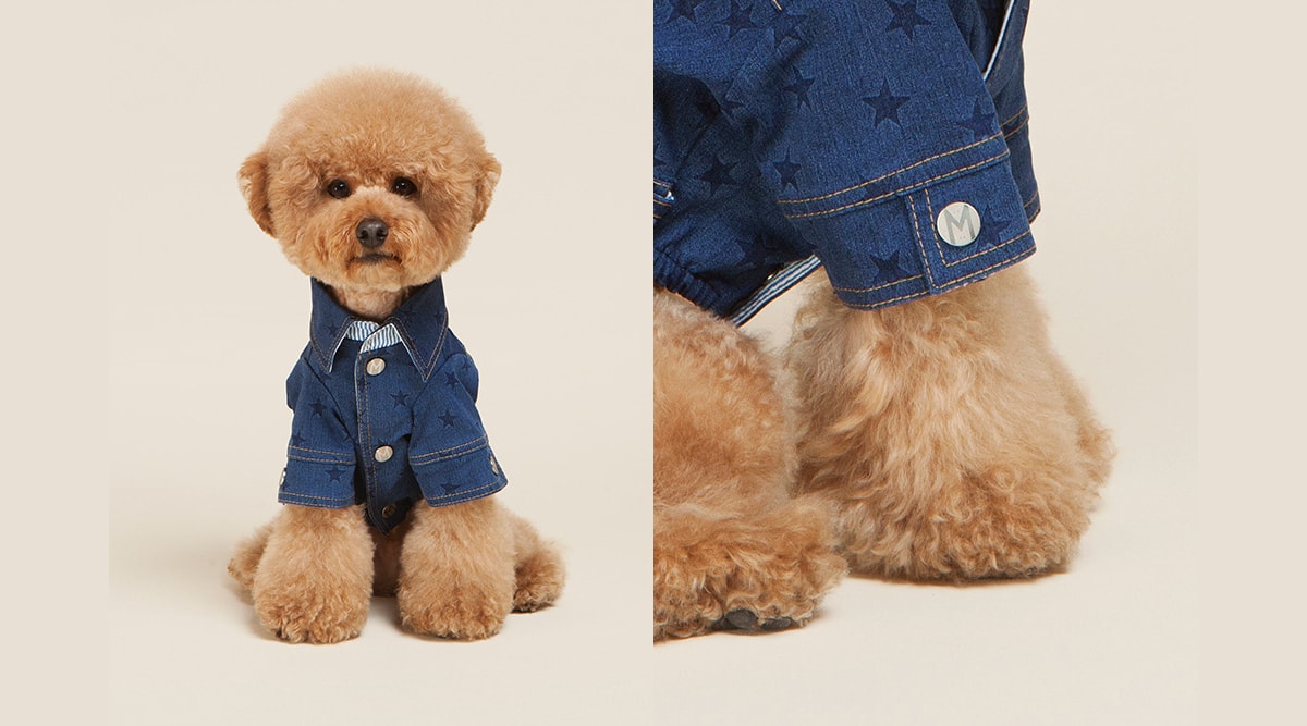 高端MIMINKO寵物用品品牌體驗VI形象設計，品牌視覺設計，品牌策劃，VI形象設計，深圳品牌設計，左右格局