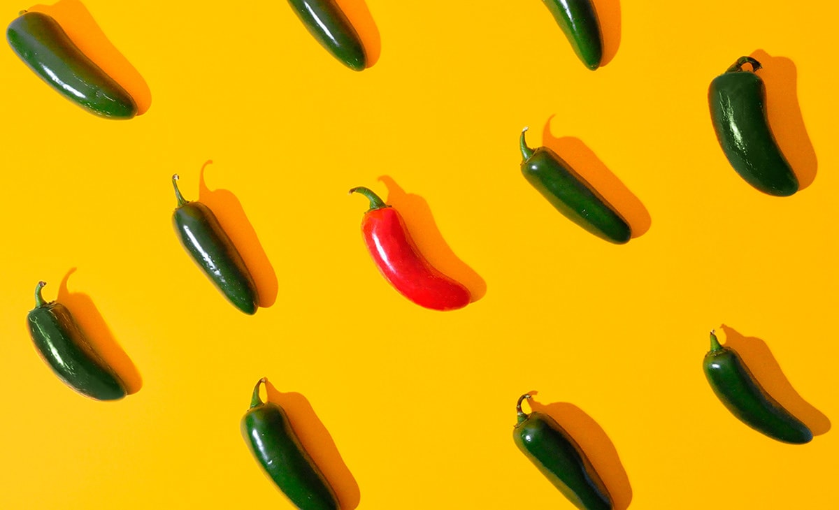 墨西哥Torta Bendita食品蛋糕店品牌VI形象設(shè)計欣賞，食品VI設(shè)計，食品包裝設(shè)計，食品品牌設(shè)計，深圳VI設(shè)計，左右格局