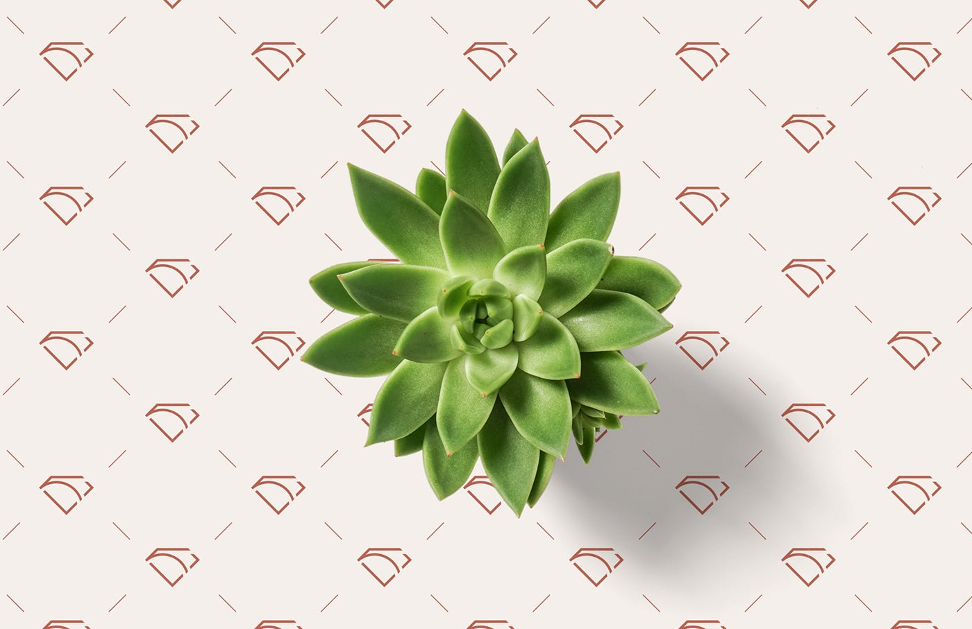 傳統珠寶配飾QUINTOS個性品牌VI設計 珠寶品牌VI設計,高端VI設計,深圳VI設計,左右格局