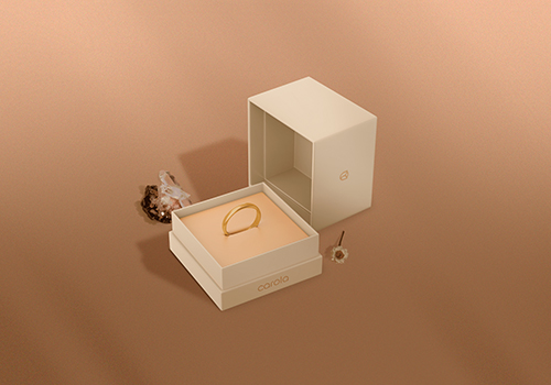 現(xiàn)代簡約珠寶品牌vi設計案例—深圳品牌包裝設計塑造