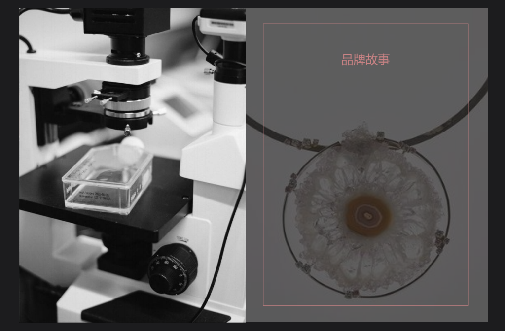 Vsense,從0到1的時(shí)尚品牌孵化 Vsense,從0到1的時(shí)尚品牌孵化